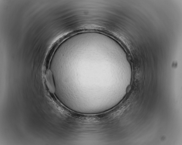 X0000098130979200805011317