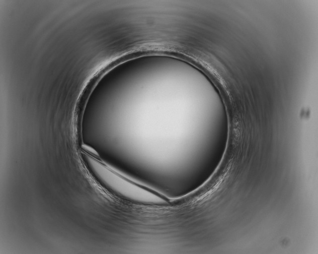 X0000098130981200805011317