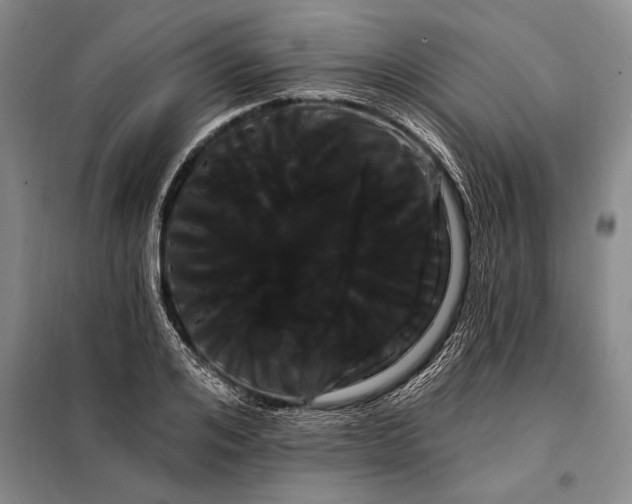 X0000098130984200805011317