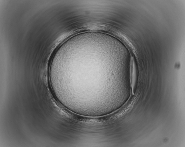 X0000098130986200805011317