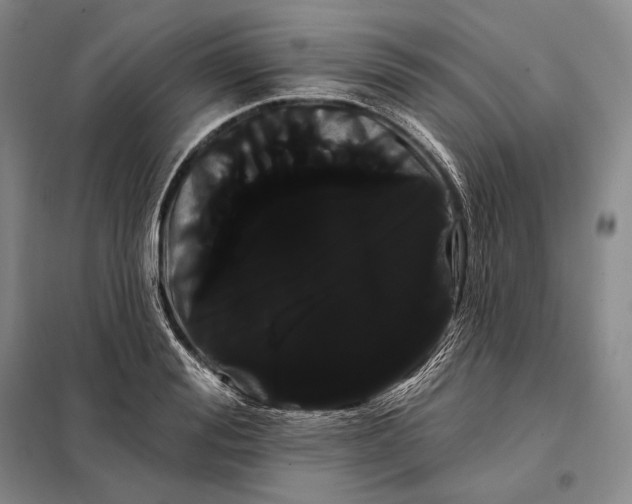 X0000098130988200805011317