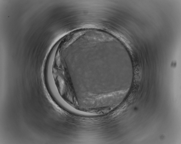 X0000098130991200805011317