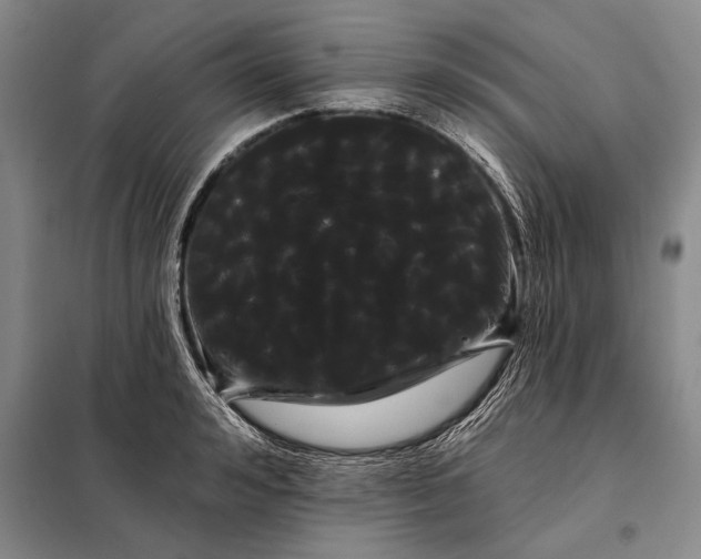 X0000098130992200805011317