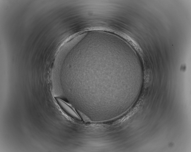 X0000098130993200805011317