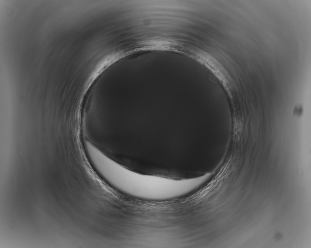X0000098130994200805011317