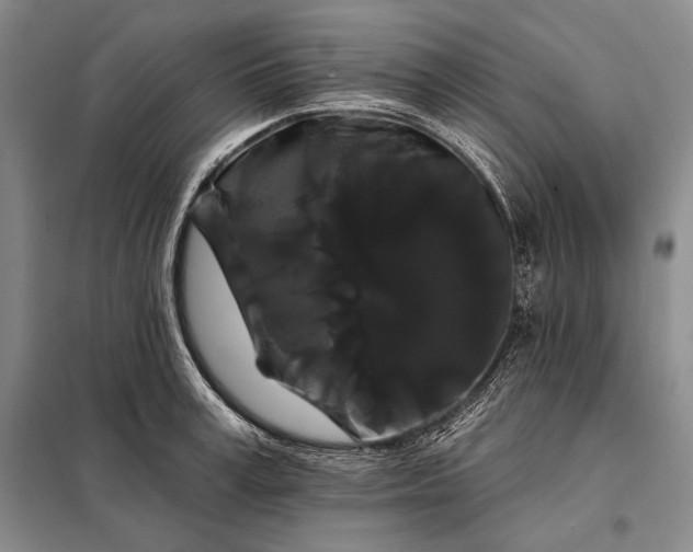 X0000098130995200805011317