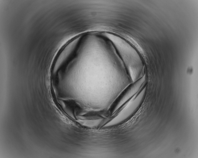 X0000098130996200805011317