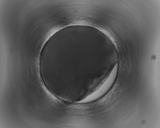 X0000098130998200805011317