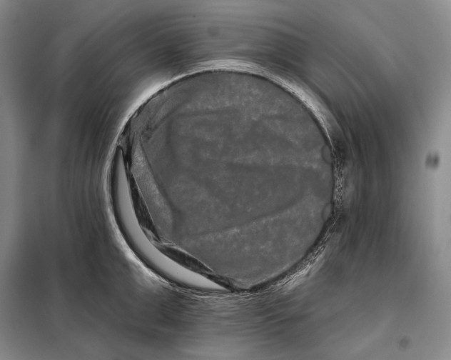 X0000098130999200805011317