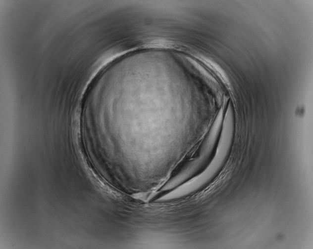 X0000098131000200805011317