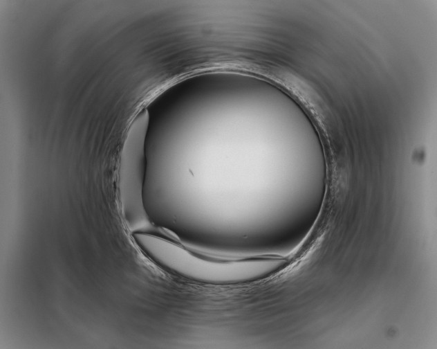 X0000098131001200805011317