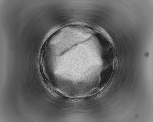X0000098131002200805011317