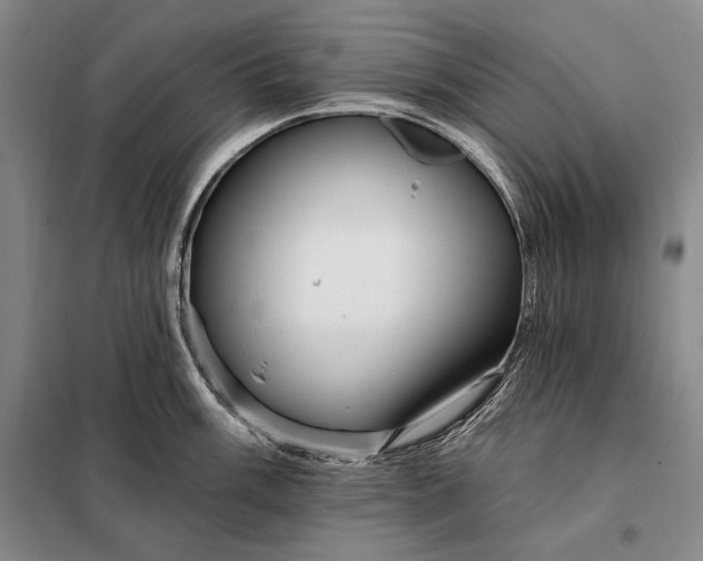 X0000098131003200805011317
