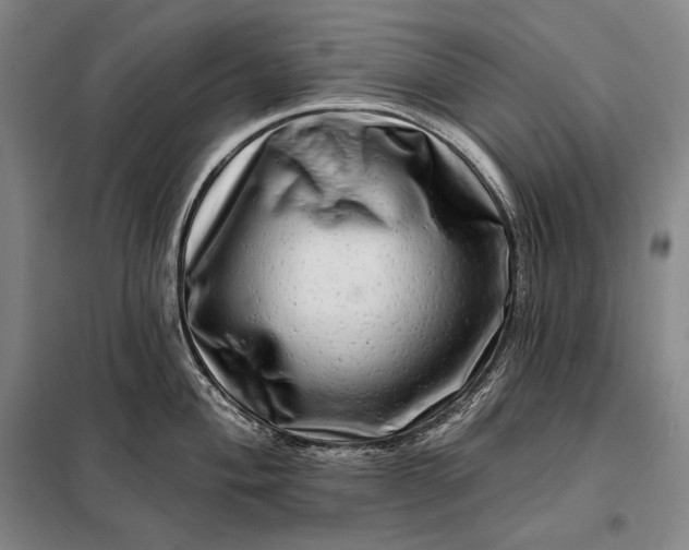 X0000098131004200805011317