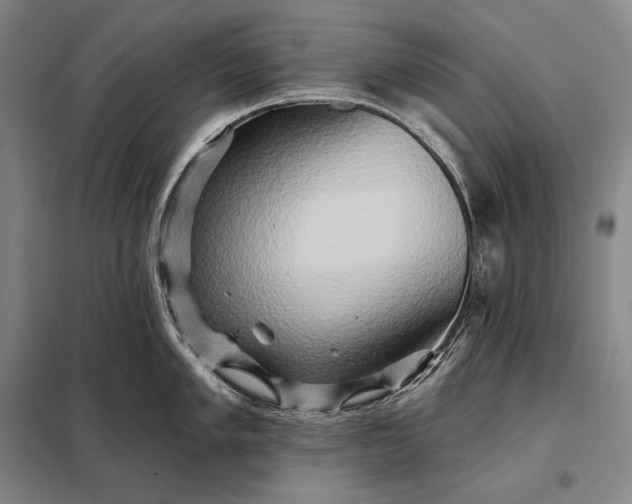 X0000098131005200805011317