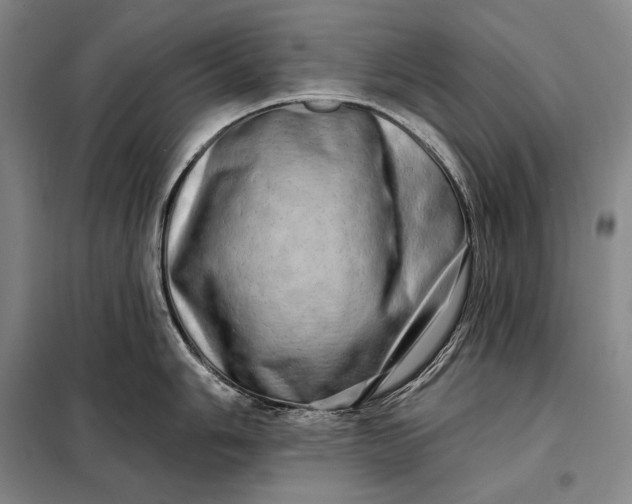 X0000098131006200805011317