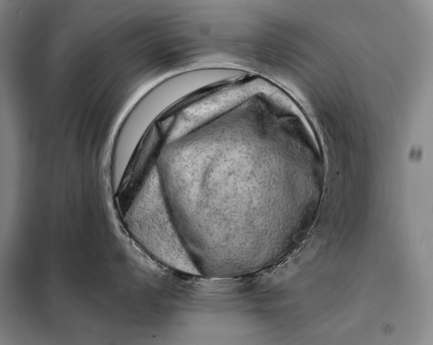 X0000098131008200805011317
