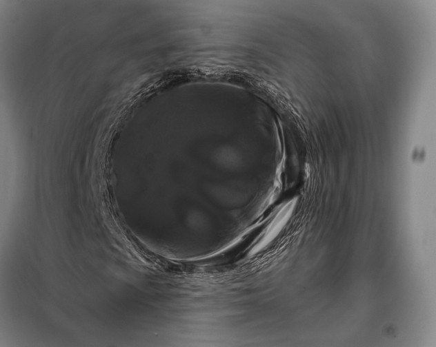 X0000098131009200805011316