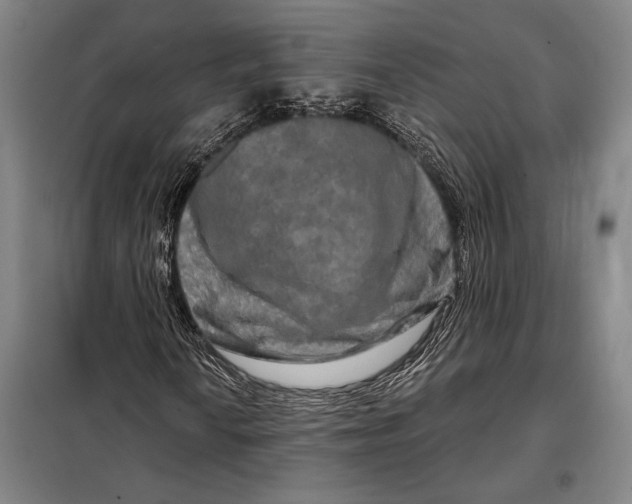 X0000098131010200805011316