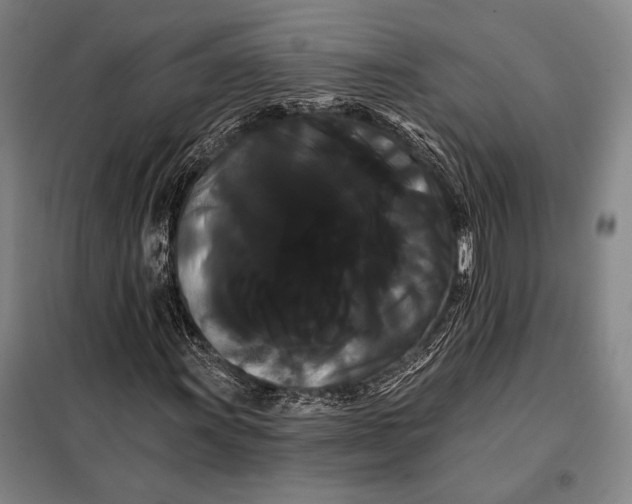 X0000098131011200805011316