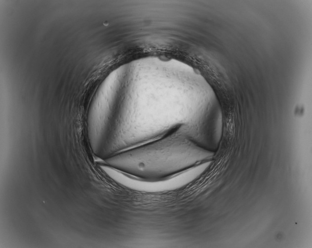 X0000098131012200805011316