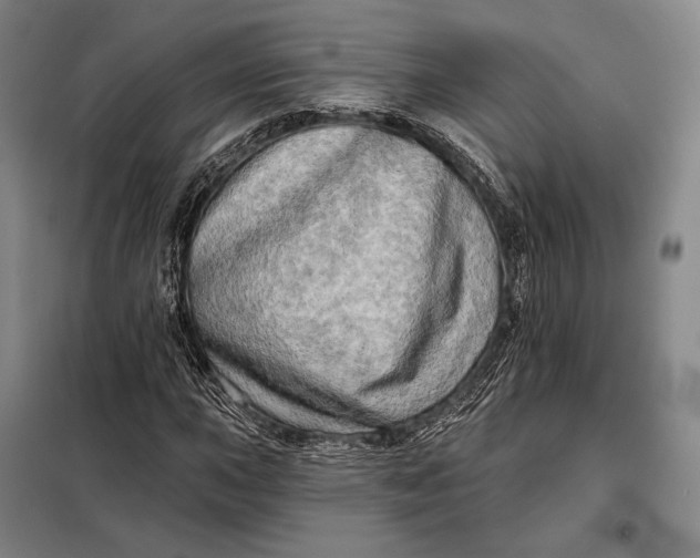 X0000098131015200805011316