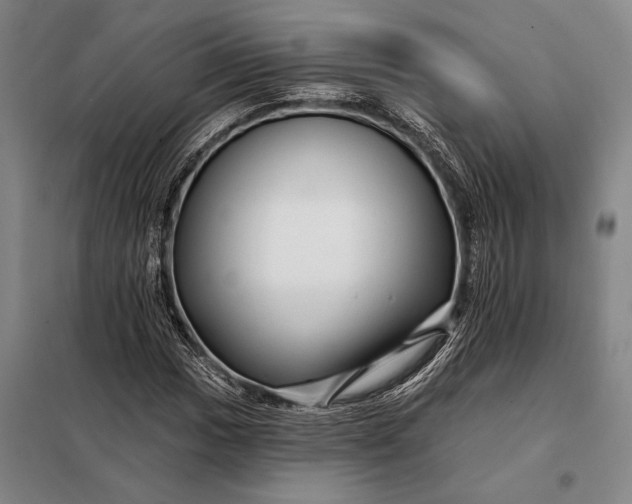 X0000098131017200805011316