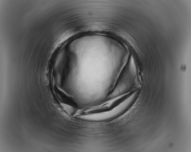 X0000098131018200805011316