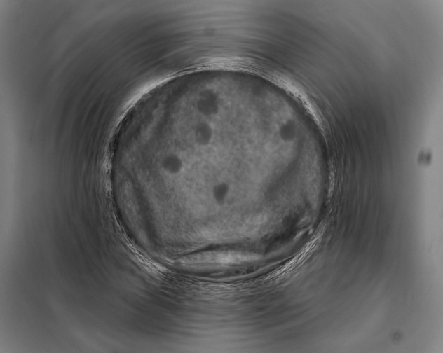 X0000098131019200805011316