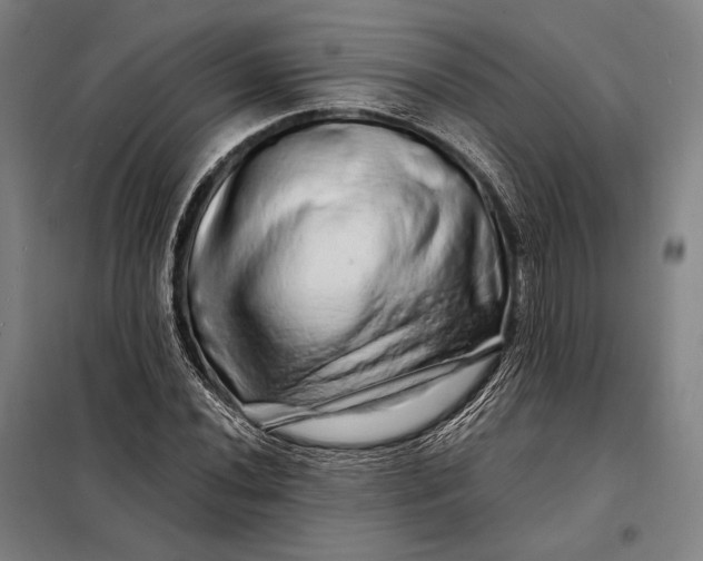 X0000098131020200805011316