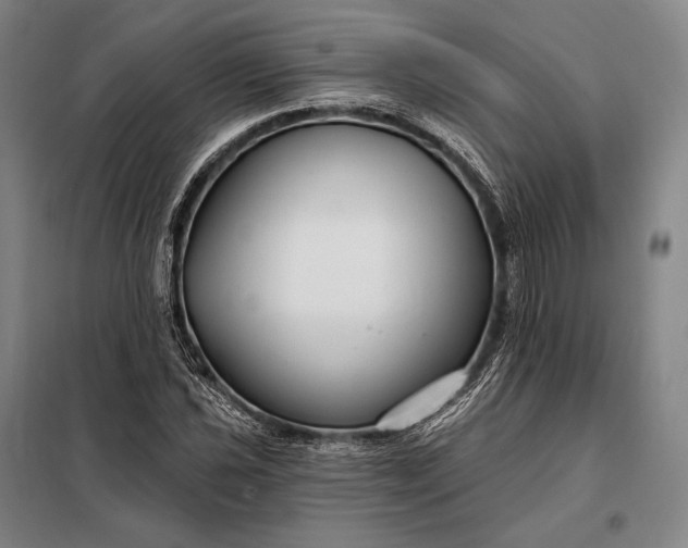X0000098131021200805011316