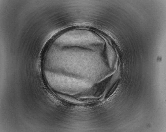 X0000098131022200805011316