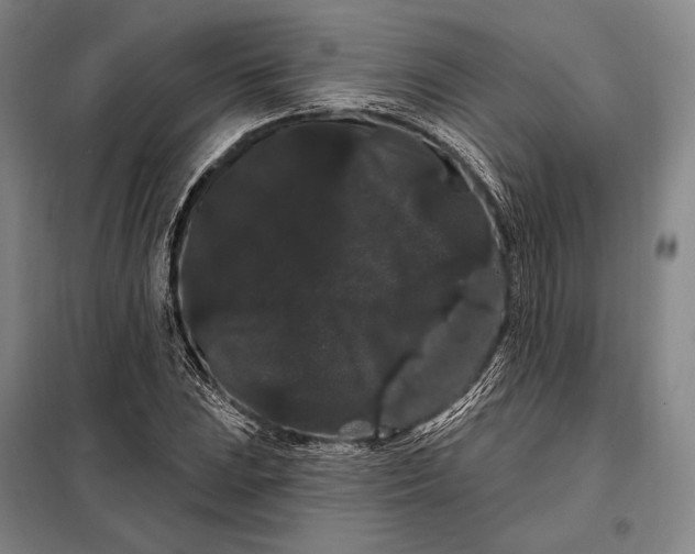 X0000098131023200805011316