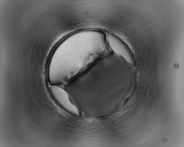 X0000098131024200805011316