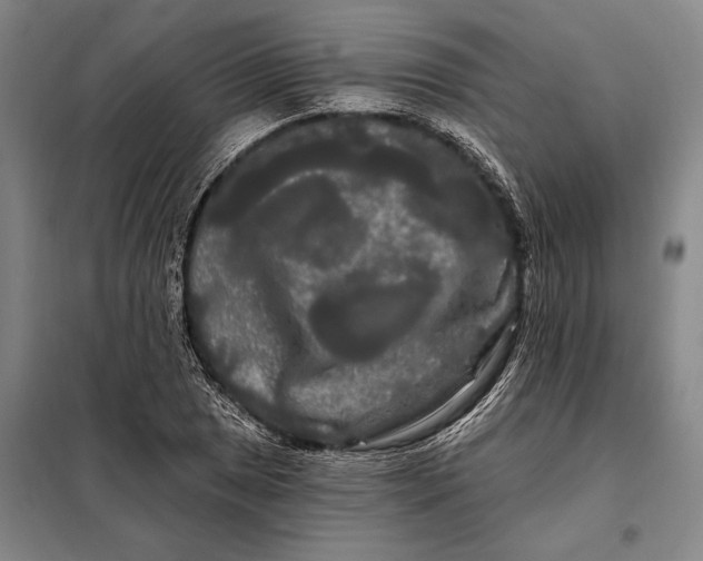 X0000098131025200805011316