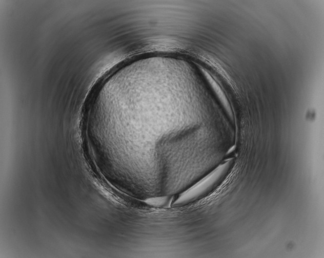 X0000098131026200805011316