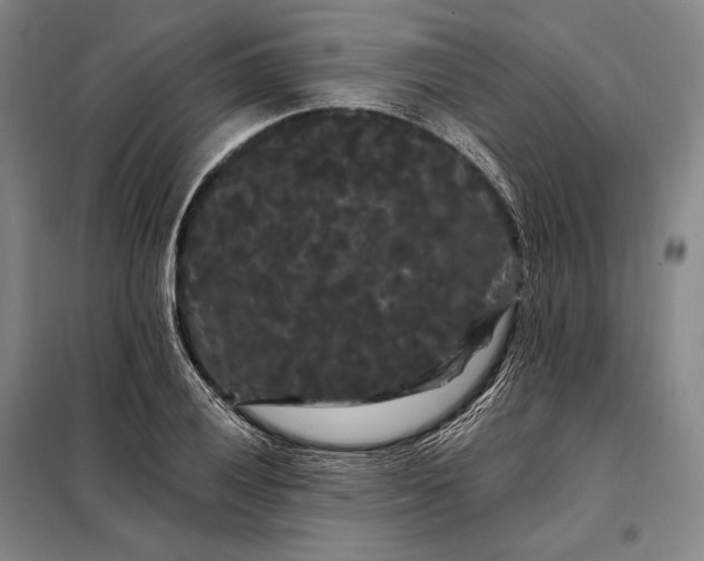 X0000098131028200805011317