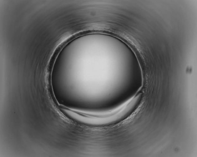 X0000098131029200805011317