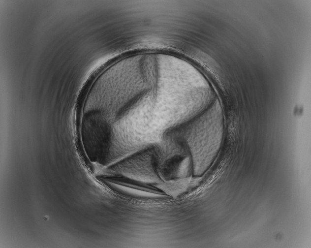 X0000098131030200805011317