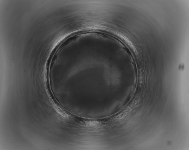 X0000098131031200805011317