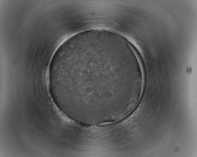X0000098131032200805011317