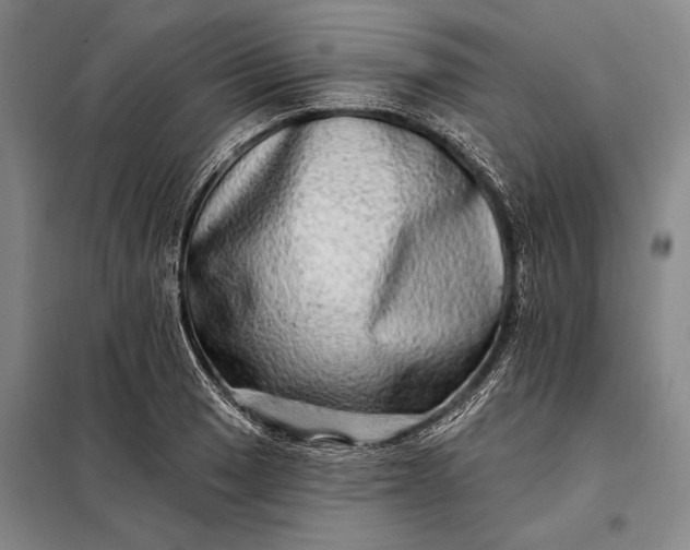 X0000098131033200805011317