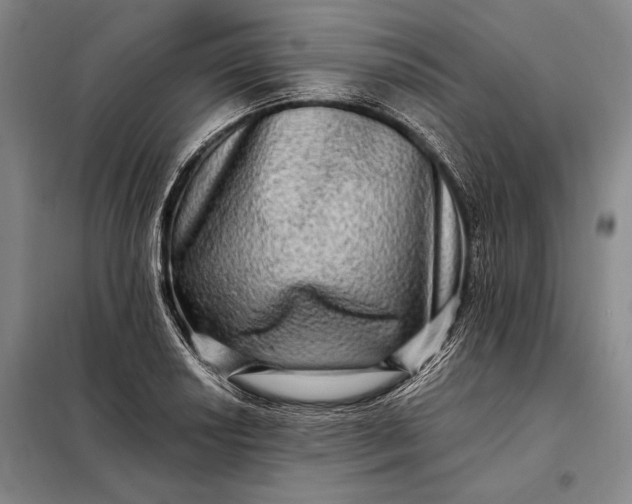 X0000098131034200805011317