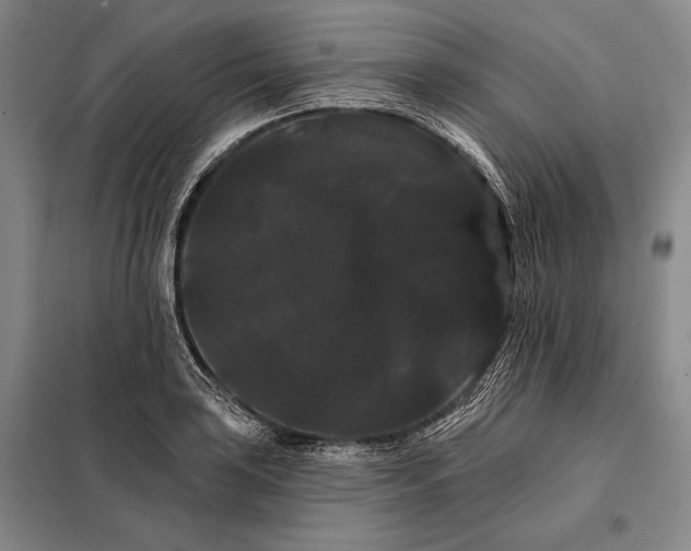 X0000098131035200805011317
