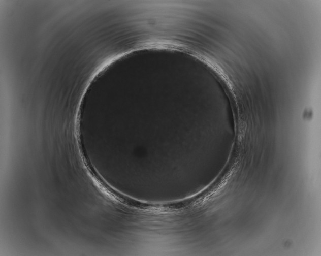 X0000098131037200805011317