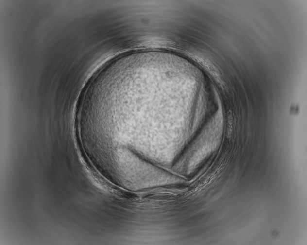 X0000098131039200805011317