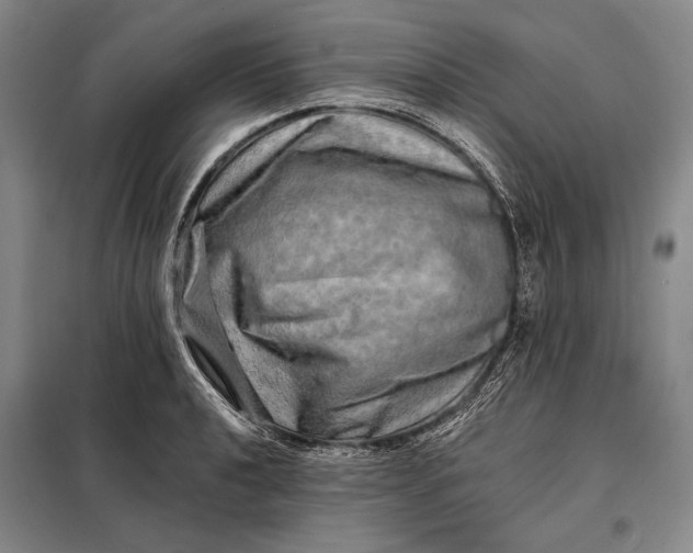 X0000098131040200805011317
