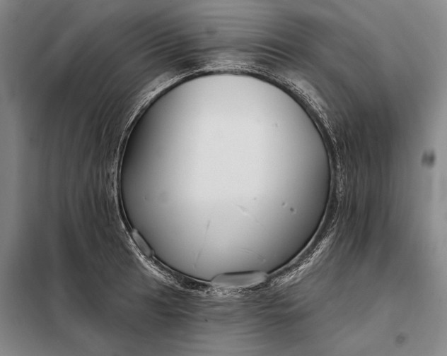 X0000098131041200805011317