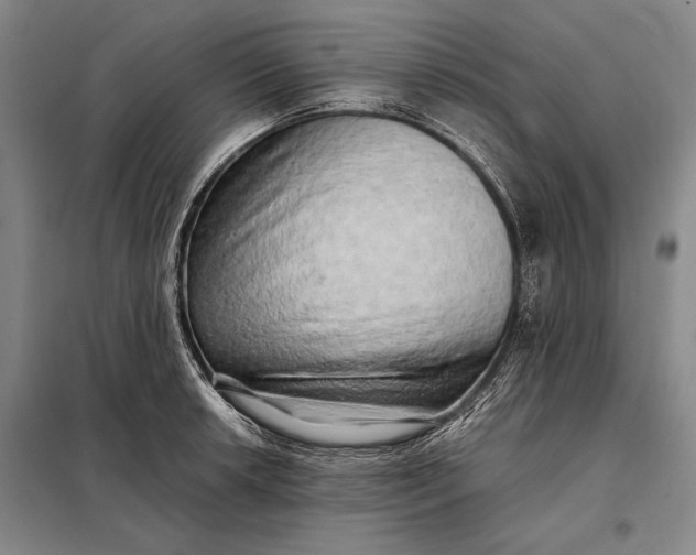 X0000098131042200805011317