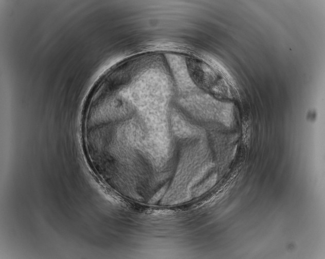 X0000098131043200805011317
